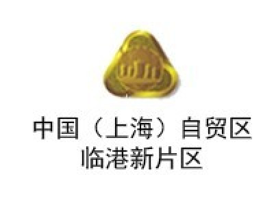 上海自由贸易试验区临港新片区