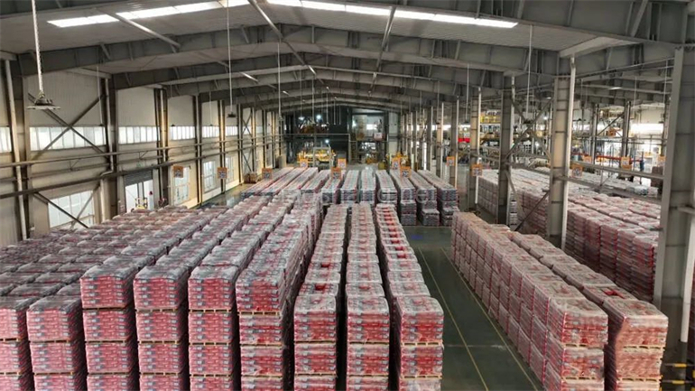 谷川联行助力世界500强项目落户投产 