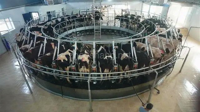 谷川联行与唐山市丰润区达成产业咨询合作 