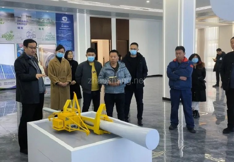 绿色领跑电商园：走进库珀—推动能源转型赋能绿色发展 