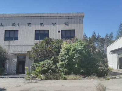 宝山区3000平米厂房出租