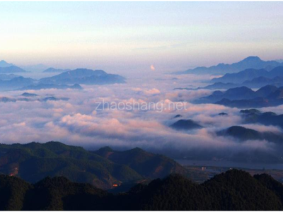 四会市投资促进局