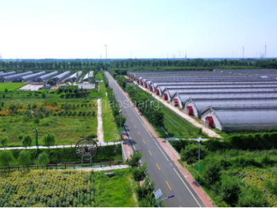 商河县殷巷镇人民政府