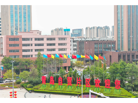 中国山东自由贸易试验区青岛片区