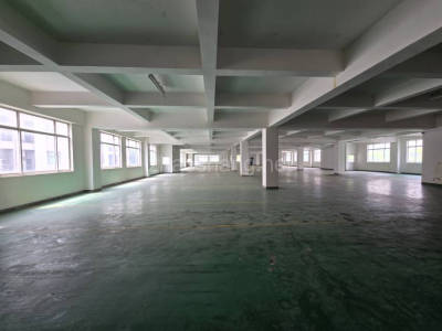 松江区830平米厂房出租