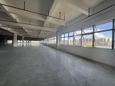 云浮厂房出售惠州惠阳区2357.9平米厂房租售