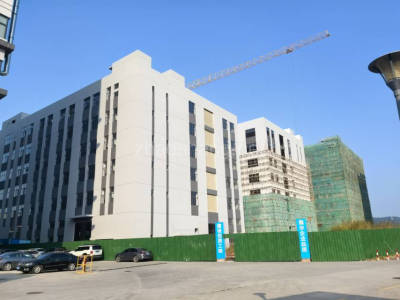 惠州厂房出售惠州惠阳区1620平米厂房出售