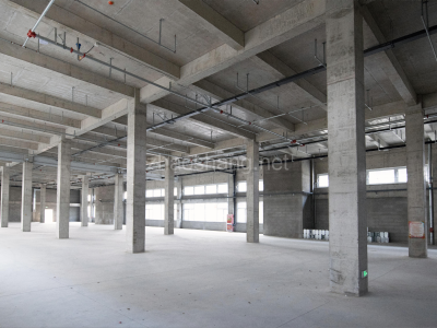 临沂厂房出租青岛自贸区国企1600-8000㎡7.2米租赁厂房